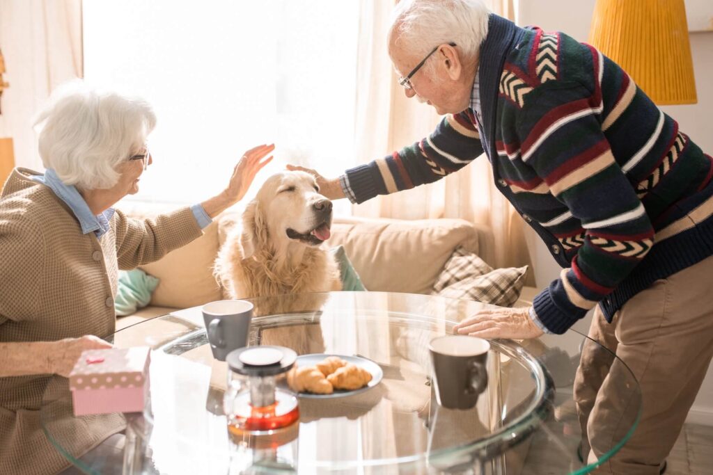 Pet Therapy nella nostra RSA: benessere e sorrisi per i nostri ospiti